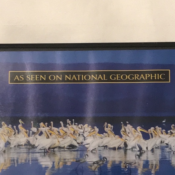 Miracle in the Pacific DVD - Picture 3 of 8